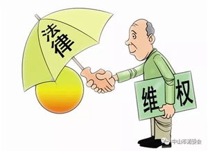 出游旺季消費(fèi)警示 安全咨詢雙管齊下，守護(hù)您的歡樂旅程